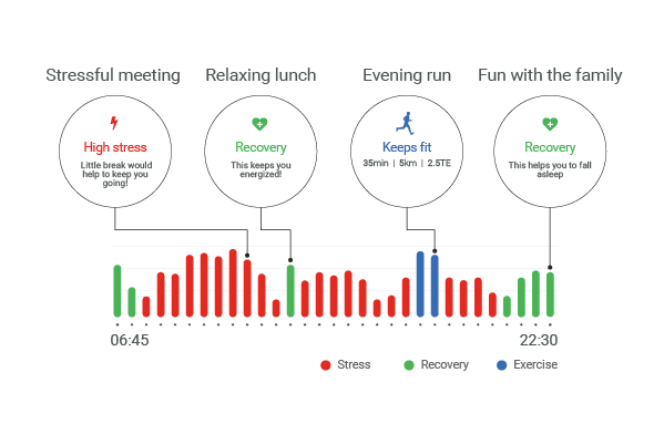 Garmin Firstbeat Physiology Insights A Detailed Look at Each One