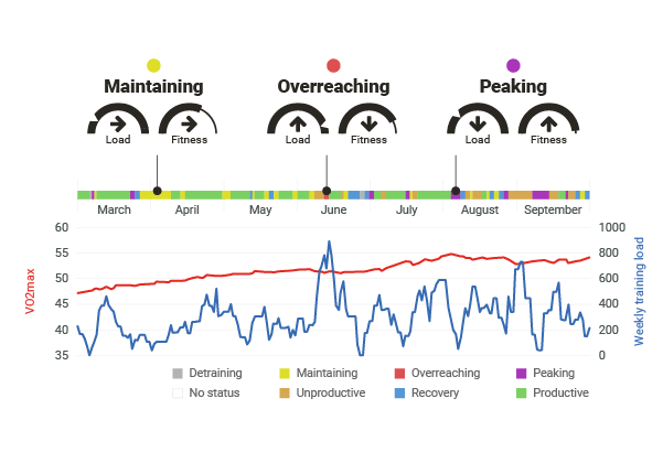 Forerunner - Firstbeat Insights