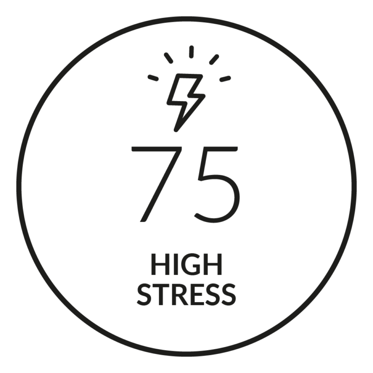 Quick Stress Level Test - Firstbeat Feature