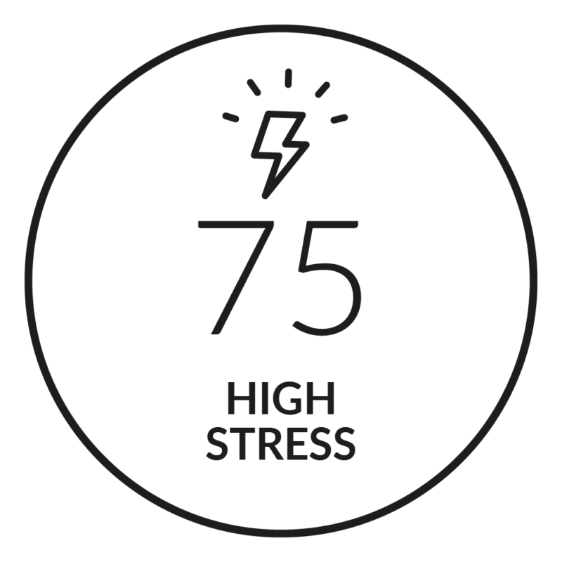 Quick Stress Level Test - Firstbeat Feature