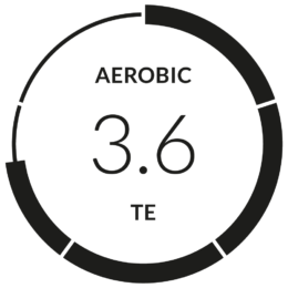 Training Effect: Aerobic - Firstbeat Feature