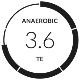 Training Effect: Anaerobic - Firstbeat Feature