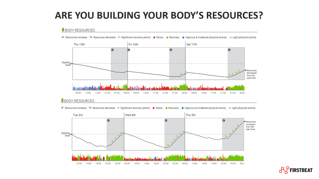 The Big Picture of Wellness Stress Management, Good Sleep and