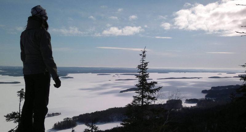 vagushermo on parasympaattisen eli kehoa rauhoittavan hermoston tärkein hermo.