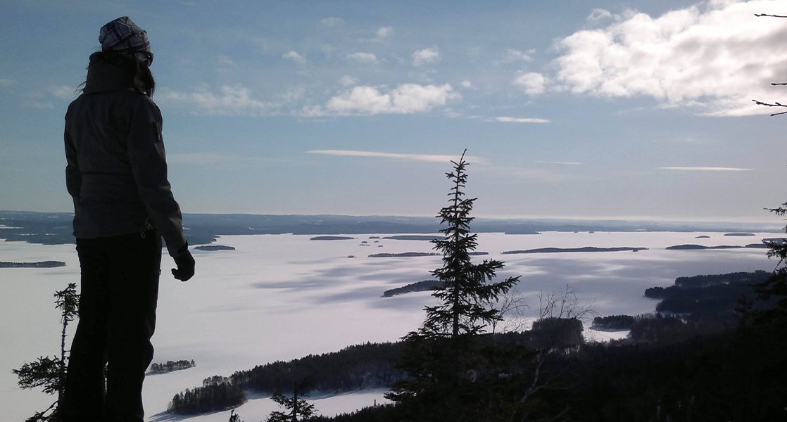 vagushermo on parasympaattisen eli kehoa rauhoittavan hermoston tärkein hermo.