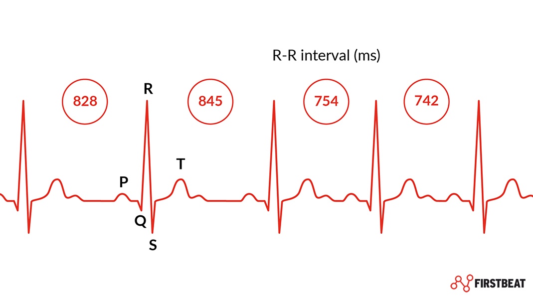 Two Minute Heart Rate Recovery Chart