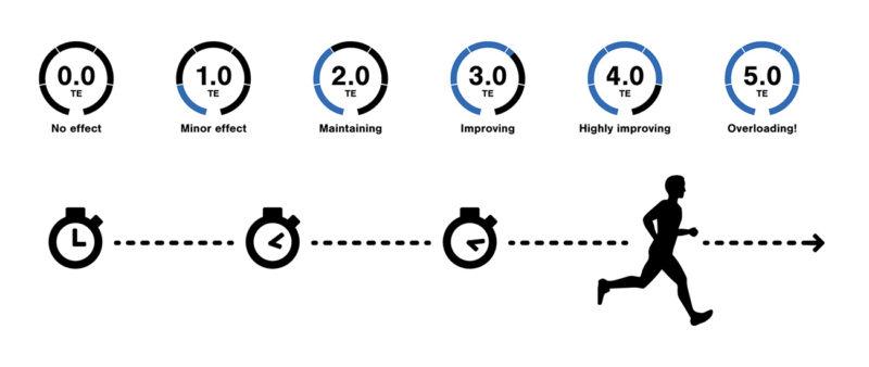 scale of Aerobic Training Effect
