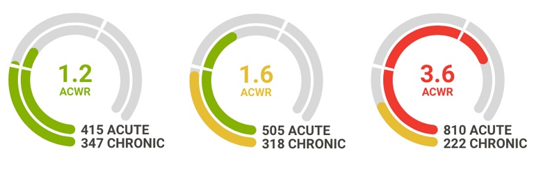 firstbeat sports acute vs chronic training load