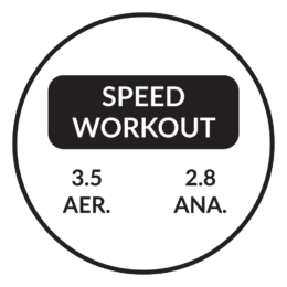 Workout Labels - Firstbeat Feature