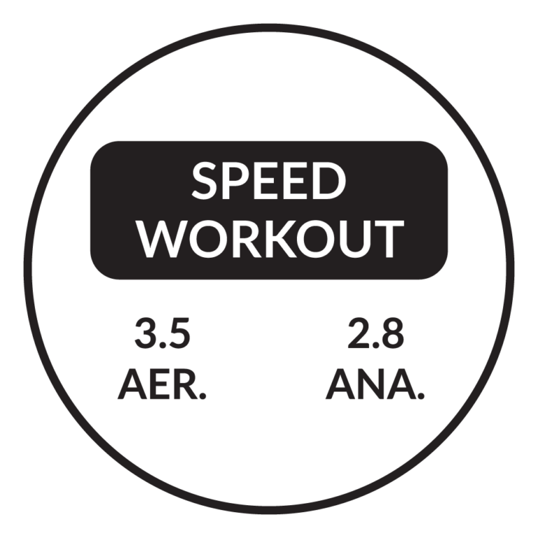 Workout Labels - Firstbeat Feature