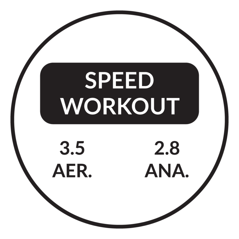 Workout Labels - Firstbeat Feature